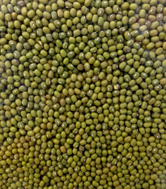 cierre fondo de frijol mungo - pigeon pea” fotografías e imágenes de stock