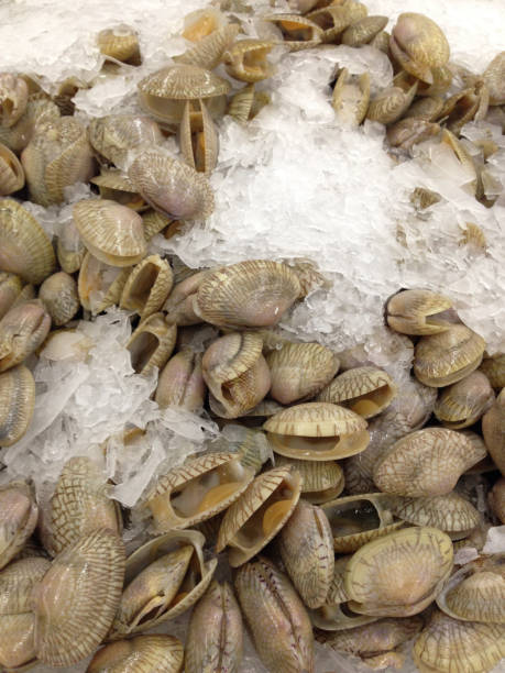 istock Fresh shellfish on ice in the market 915553604