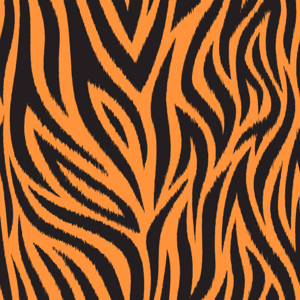 Seamless pattern with tiger skin. Black and orange tiger stripes. Popular texture. Seamless pattern with tiger skin. Black and orange tiger stripes. Popular texture. Vector illustration. tiger stripe stock illustrations
