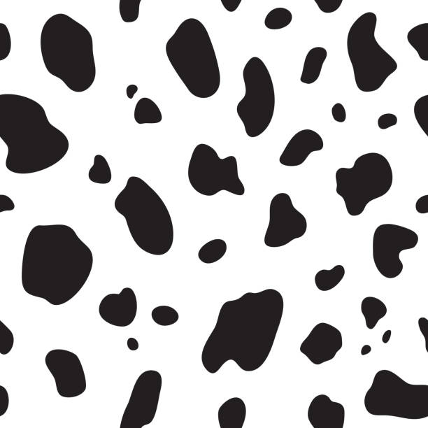 Cow seamless pattern. Black and white cow spots. Vector Cow seamless pattern. Black and white cow spots. Vector texture. fur textures stock illustrations