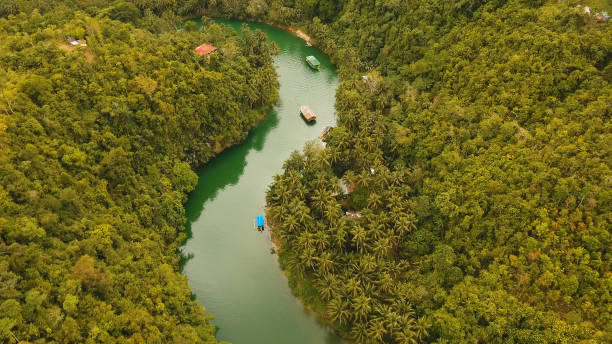 fiume loboc nella foresta pluviale filippine, bohol - bohol foto e immagini stock