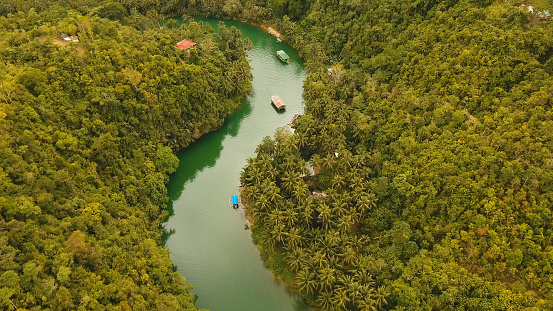 Aerial view, River in the rainforest among the jungle Tropical Loboc river in the rain forest in Asia. Mountain river flows through green forest. Philippines, Bohol.