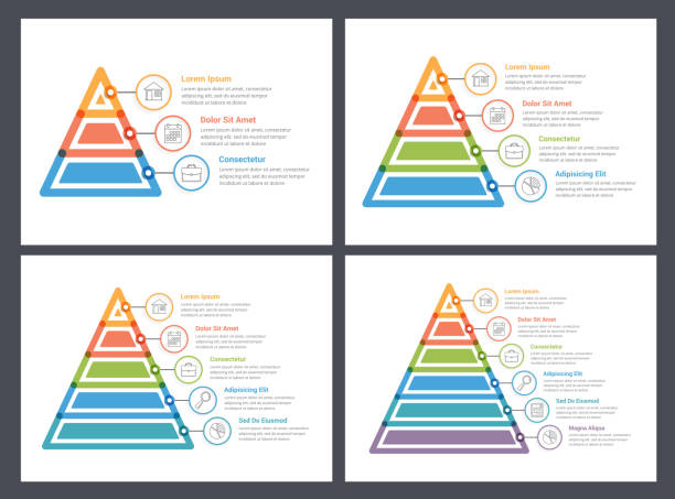 피라미드 인포 그래픽 - pyramidal cell stock illustrations