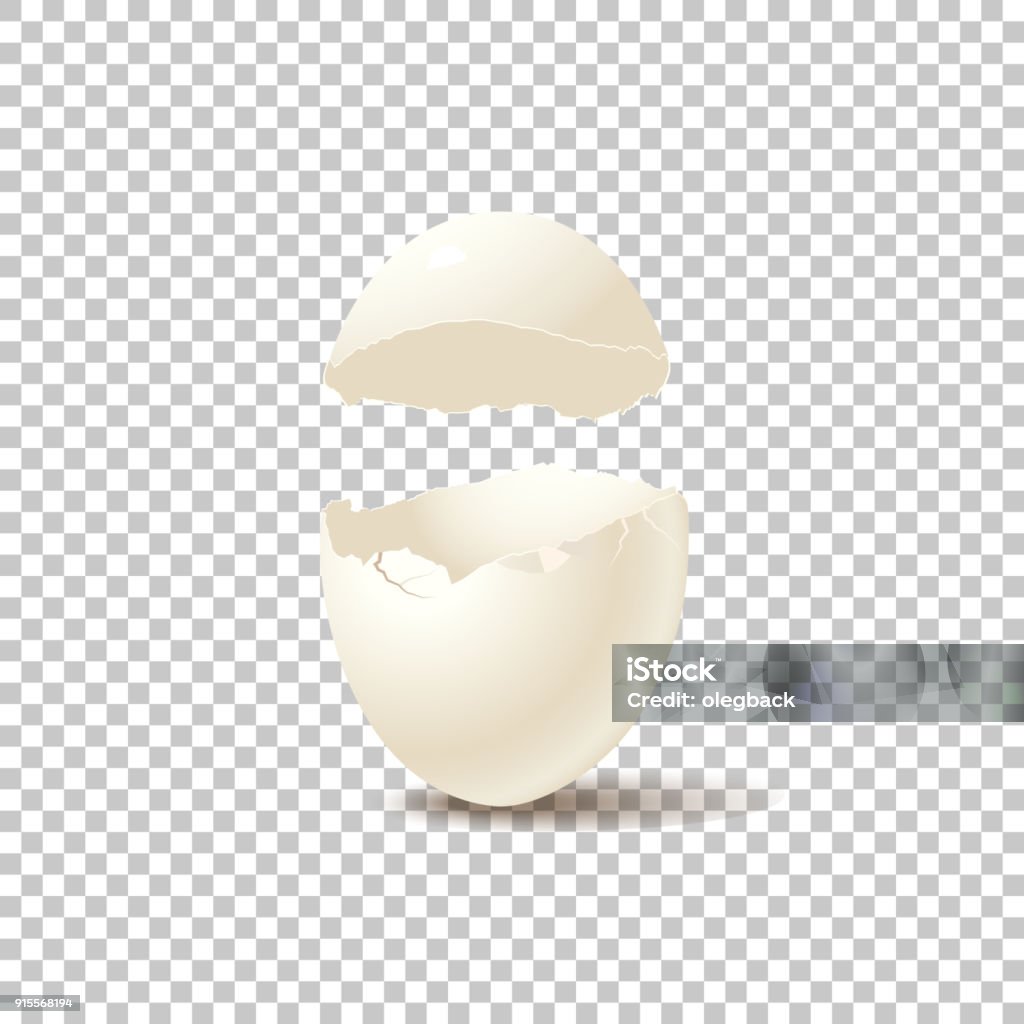 Broken empty eggshell isolated on transparent background. Vector realistic design element. Eggshell stock vector