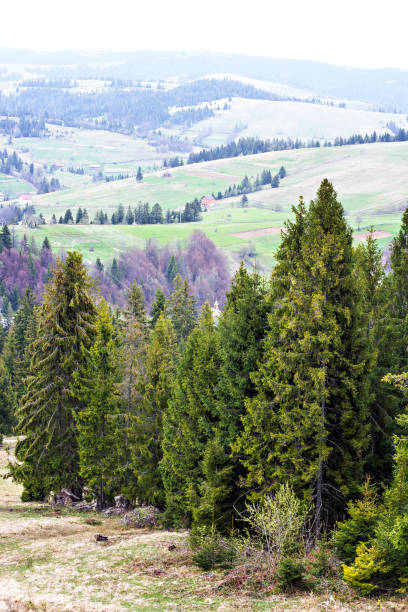 istock Views in the mountains. Landscape in the mountains. 915571202