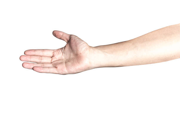 istock Hand open and ready to help or receive. Gesture isolated on white background with clipping path. 915575594