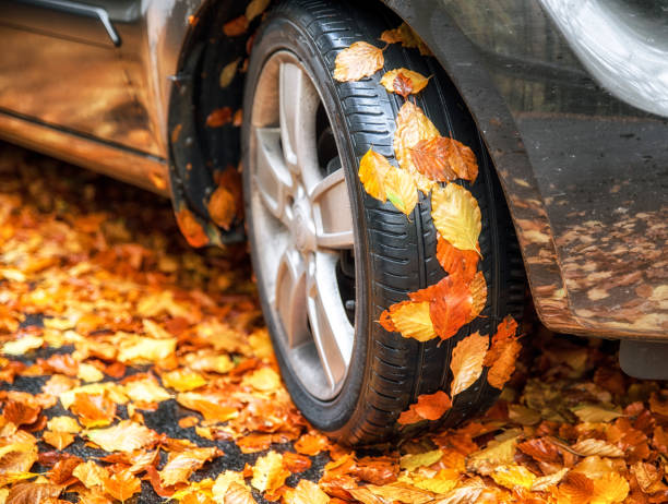istock Autumn leaves on tire of car 915577688