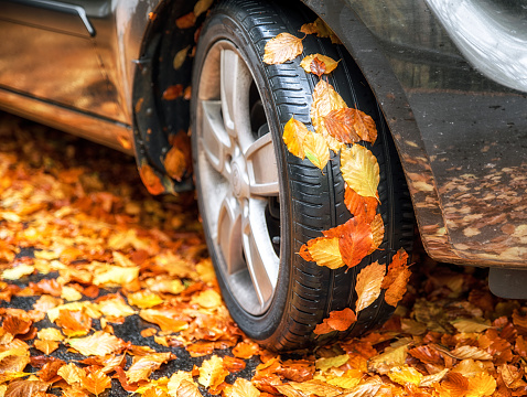 Yellow autumn leaves on tire of car