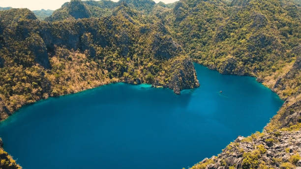 istock Mountain lake Barracuda on a tropical island, Philippines, Coron, Palawan 915577822
