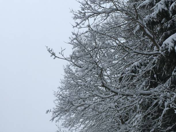 istock Landscape covered in snow 915578578