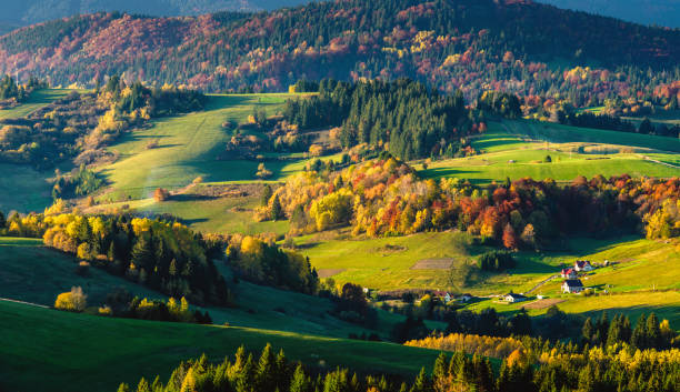 istock Colorful autumn country 915578658