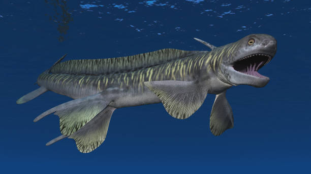 istock Prehistoric shark Orthacanthus 915581234