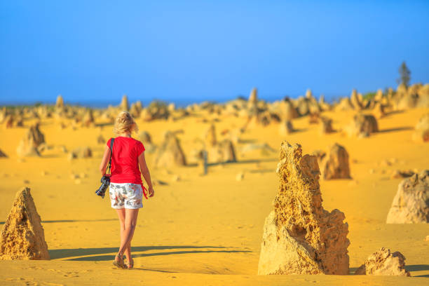 путешествия фотограф в австралии - australia desert pinnacle stone стоковые фото и изображения