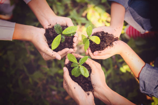 istock Woman holding young plant. 915585808