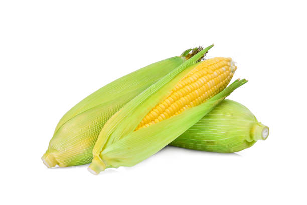 istock fresh raw corn cob isolated on white background 915590250