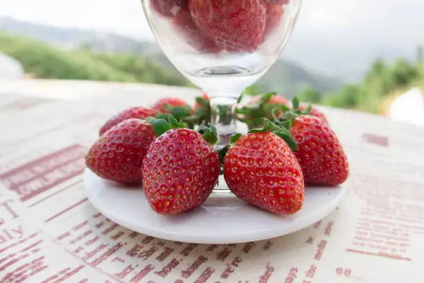 Red strawberries placed on a plate blur background,Beautiful Red strawberry,Strawberry in winter,Fruit in winter
