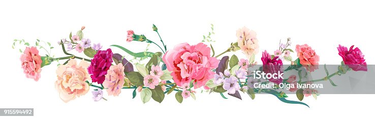 istock Panoramic view: bouquet of carnation schabaud, spring blossom. Horizontal border: red, pink flowers, buds, leaves on white background. Digital draw illustration in watercolor style, vintage, vector 915594492