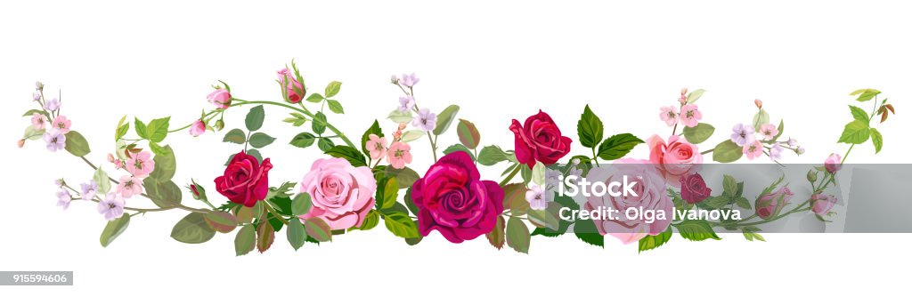 Vista panorámica: ramo de rosas, flor de primavera. Frontera horizontal: rojos, malva, rosa flores, brotes, hojas de color verde sobre fondo blanco. Ilustración digital dibujar en estilo acuarela, vintage, vector - arte vectorial de Rosa - Flor libre de derechos