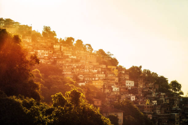 리오 데 자네이 패러글라이더 - slum rio de janeiro poverty brazil 뉴스 사진 이미지