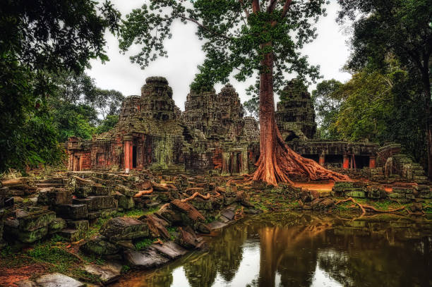 tempel in ankor wat - cambodia traditional culture ancient angkor stock-fotos und bilder
