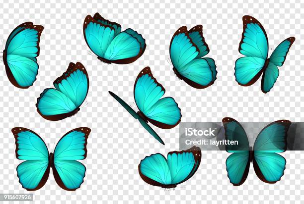 Illustration Vectorielle De Papillon Bleu Vecteurs libres de droits et plus d'images vectorielles de Papillon - Papillon, Bleu, Voler