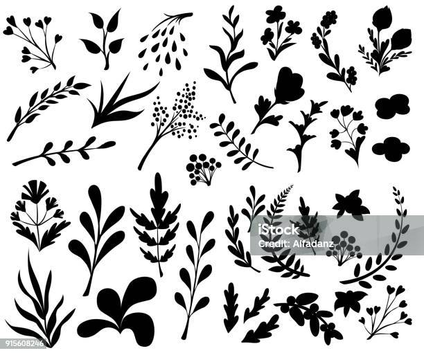 Vintage Set Of Hand Drawn Tree Branches With Leaves And Flowers On White Background Black Silhouettes Vector Illustration Stock Illustration - Download Image Now