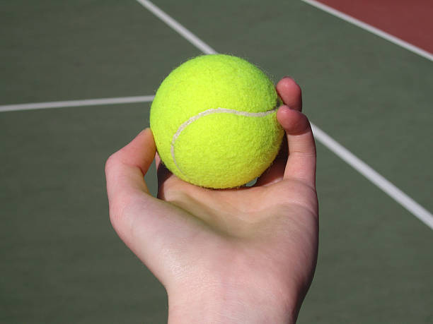 istock Holding a tennis ball 91560836