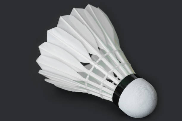 istock Closeup of shuttlecock 915609302