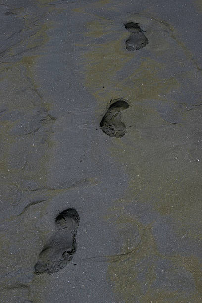 Footprints In Black Sand stock photo