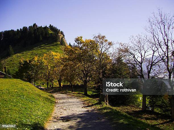 Montaña Rigi Road Foto de stock y más banco de imágenes de Aire libre - Aire libre, Alpes Europeos, Belleza