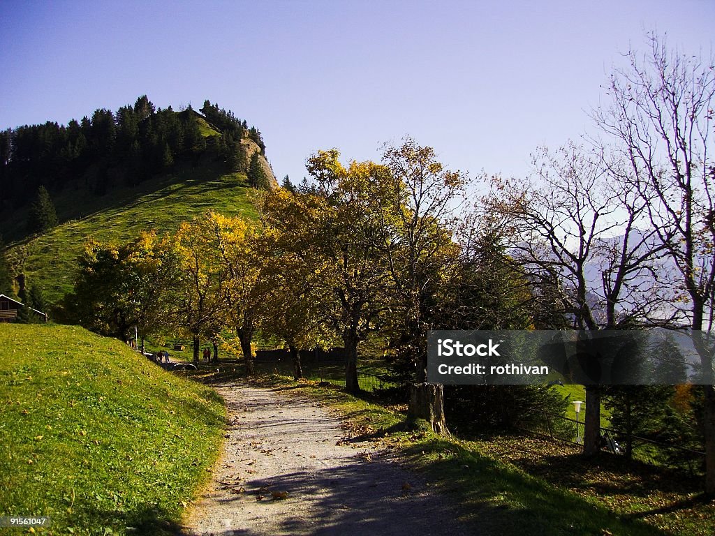 Montanha Rigi road - Foto de stock de Alpes europeus royalty-free
