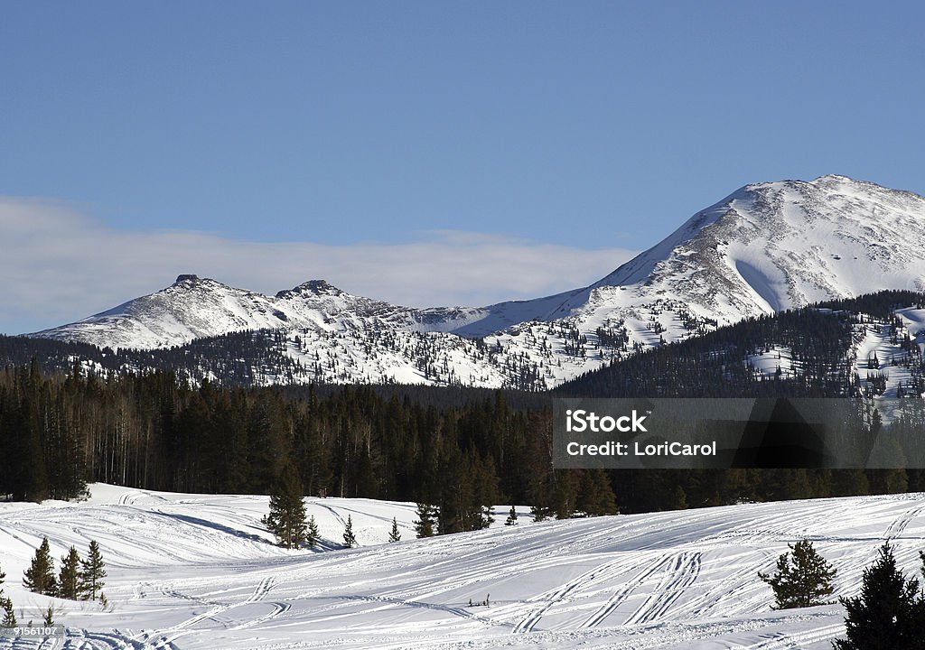 Winterscape - Foto de stock de Azul royalty-free