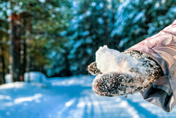 istock Woolen gloves with fresh snow. 915612788