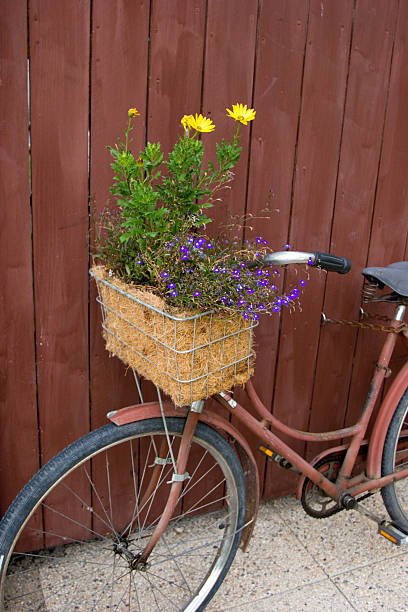 istock The Flower Bike 91561455
