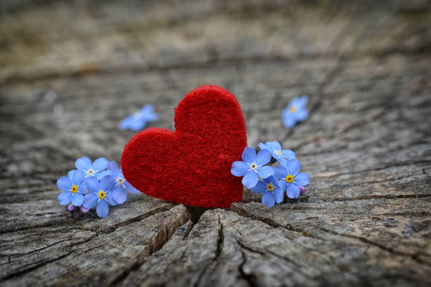 istock Valentines day card with flowers and heart. 915620434