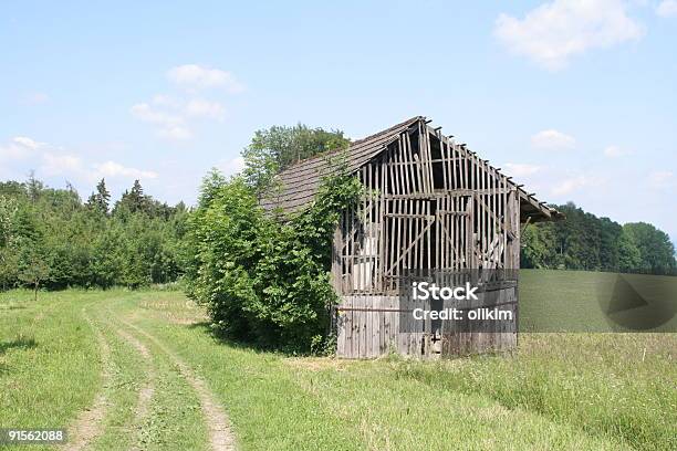 Edad De La Cabaña Foto de stock y más banco de imágenes de Agricultura - Agricultura, Aire libre, Alimentar