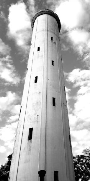 istock Sulphur Springs tower in Tampa, FL 915623766