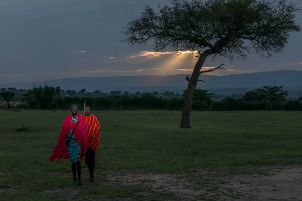 African Masai Warriors running at Sunrise with Acacia Tree