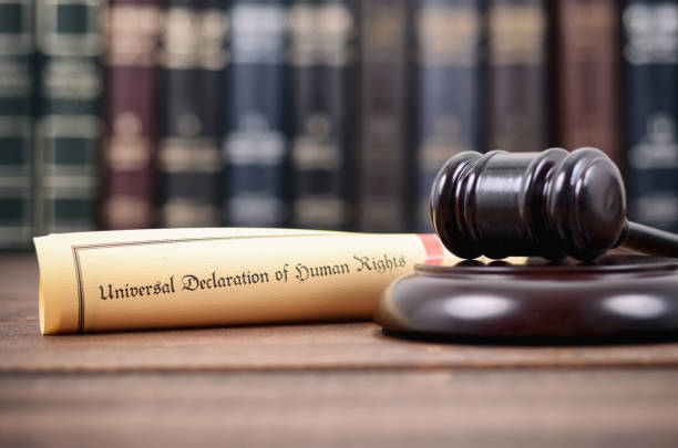 istock Judge Gavel and Universal Declaration of Human Rights. 915625432