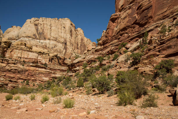 istock Canyonlands National Park Scenic Views 915625712