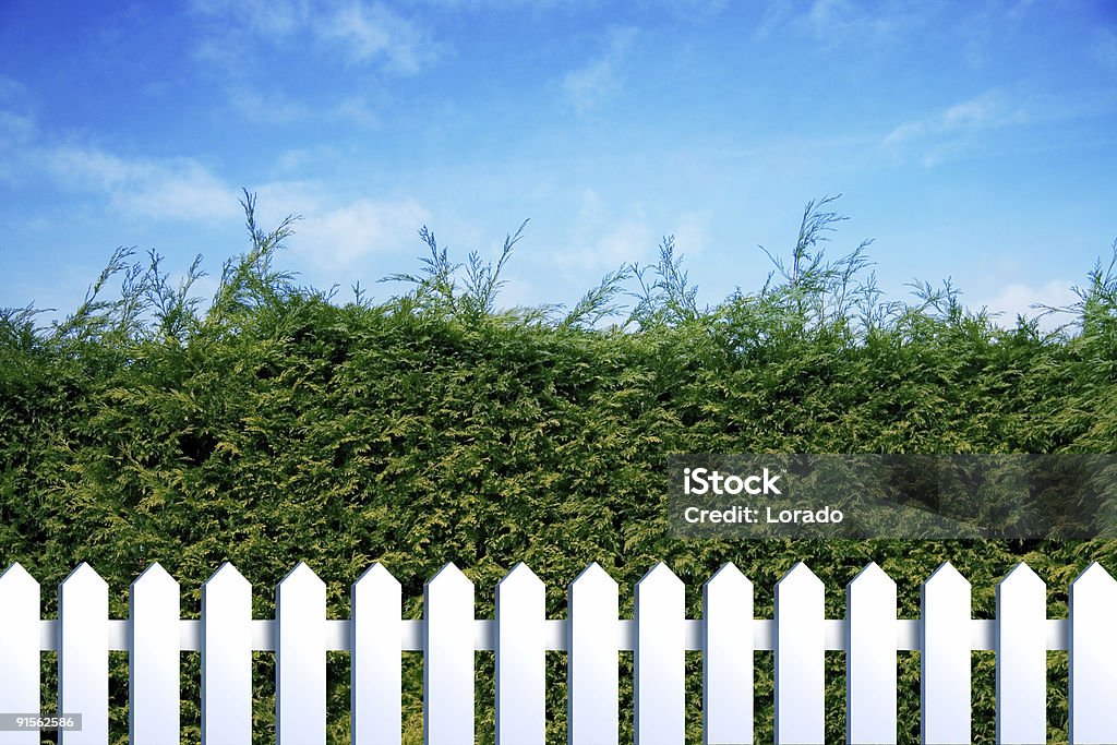 Zielone i białe ogrodzenia - Zbiór zdjęć royalty-free (Abstrakcja)