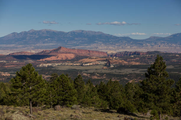 istock Dixie National Forest in Southern Utah 915625974