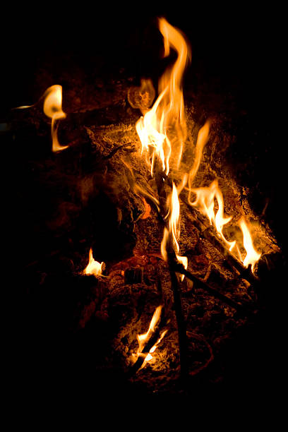 Campfire stock photo