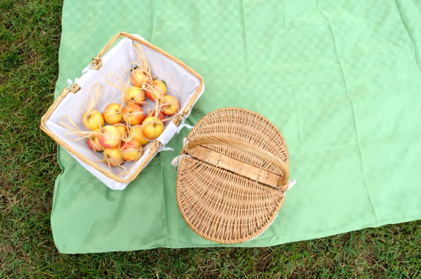 Top view of a green picnic tablecloth on a lawn stock photo