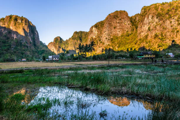 istock limestone forest in South Sulawesi Indonesia 915640650