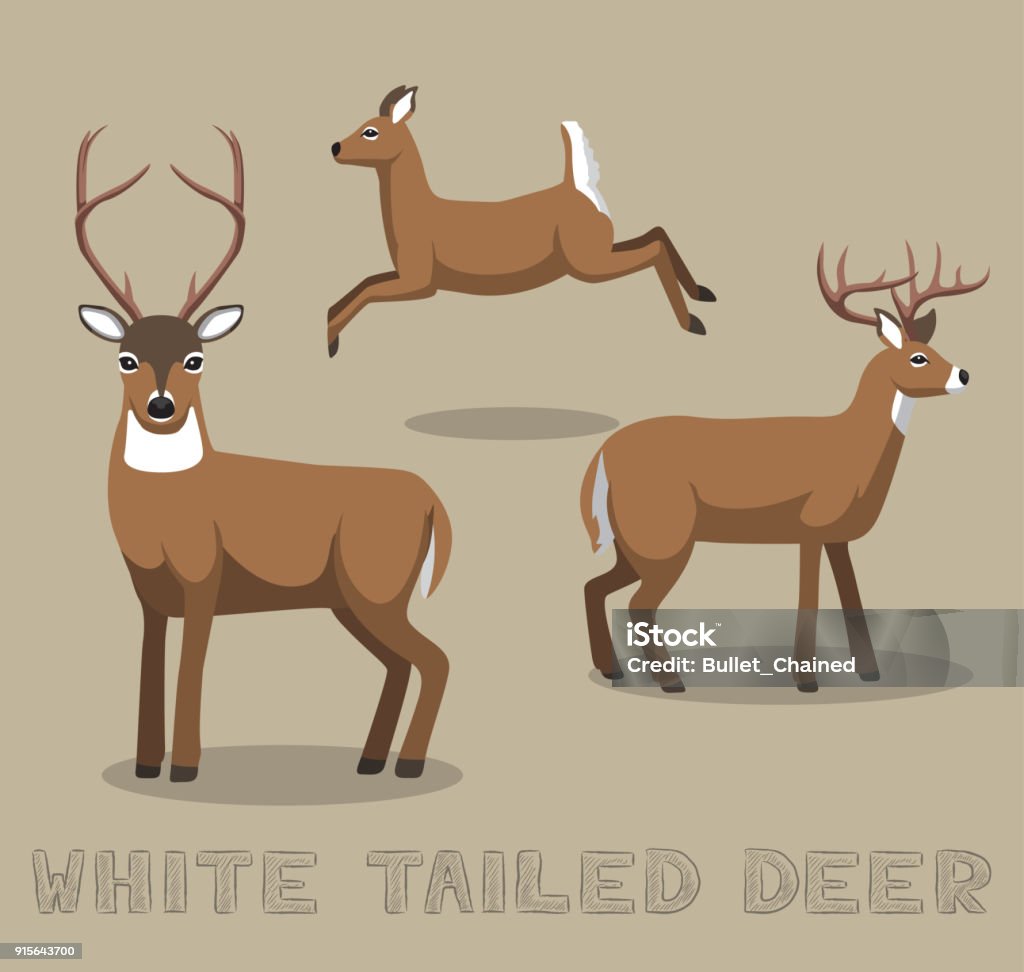 Ilustración de Vector Ilustración De Dibujos Animados De Venado Cola Blanca  y más Vectores Libres de Derechos de Ciervo de cola blanca - iStock