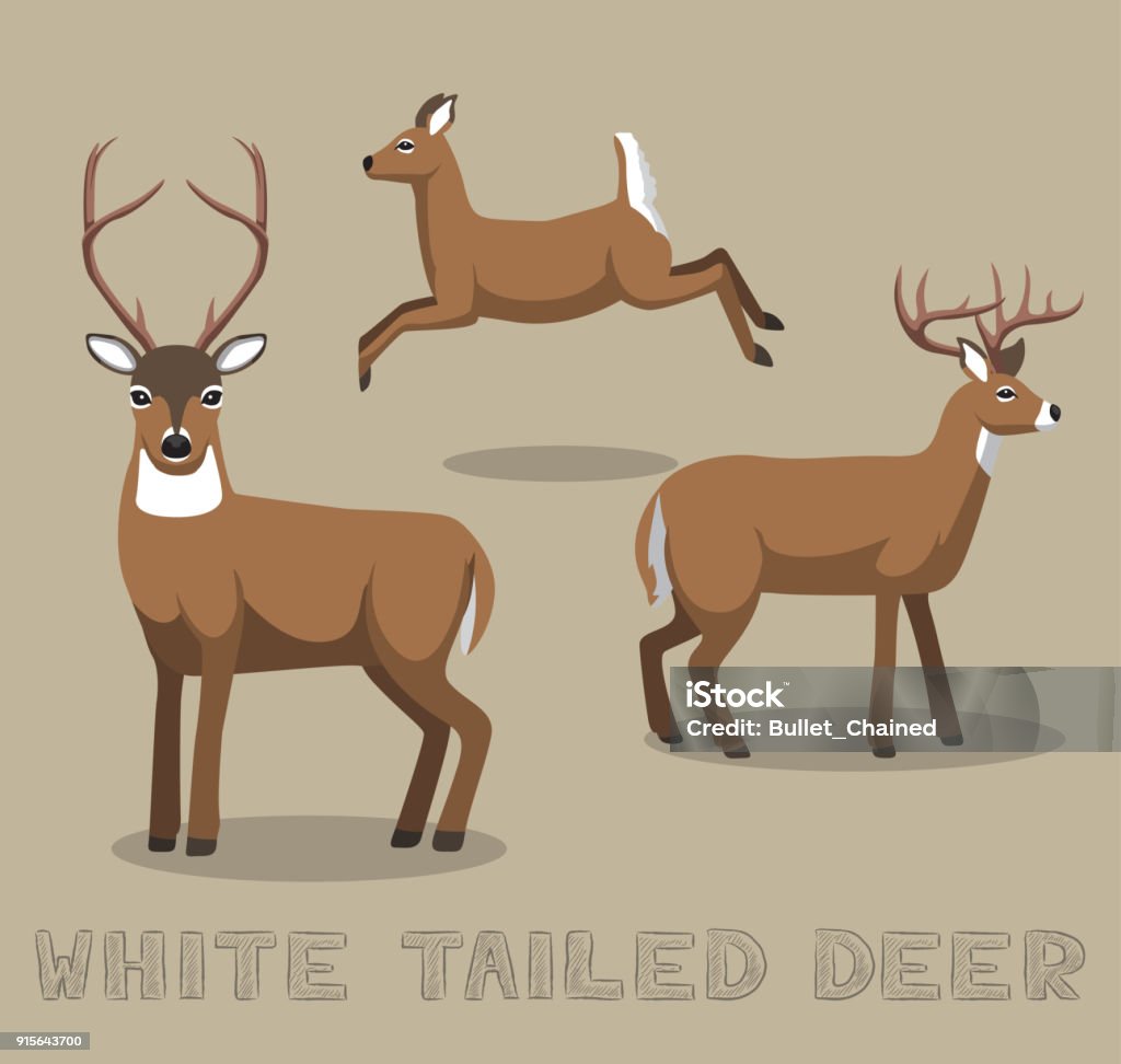 Ilustración de Vector Ilustración De Dibujos Animados De Venado Cola Blanca y más Vectores Libres de Derechos de Ciervo de cola blanca - iStock Ilustración de Vector Ilustración De Dibujos Animados De Venado Cola Blanca y más Vectores Libres de Derechos de Ciervo de cola blanca - iStock
