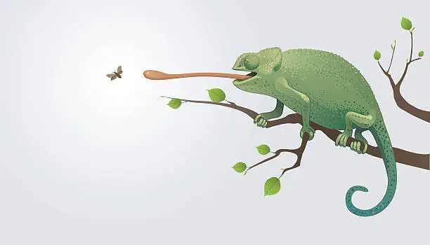 Vector illustration of Chameleon