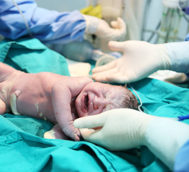 newborn assessment just after birth - examining medicine healthcare and medicine beauty in nature imagens e fotografias de stock