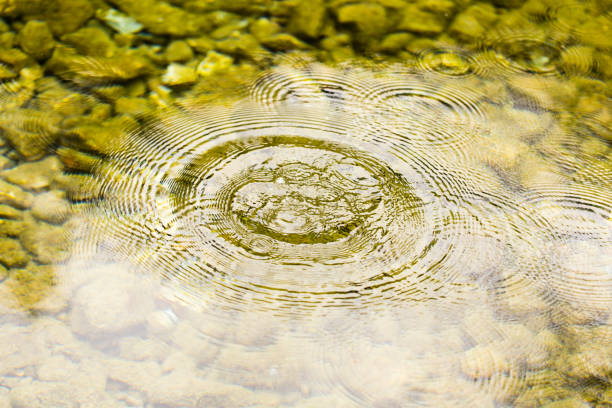 istock Circles on the smooth surface of the water on the river 915657264